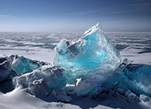 新援到位,辽宁铁人外援瓦吉奇已飞抵曼谷,将与球队会合